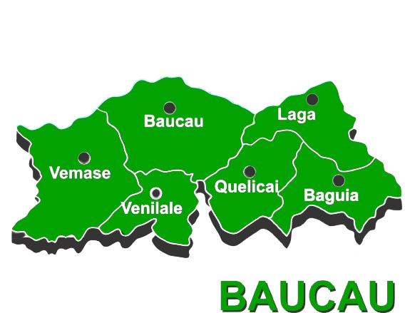 Veneranda E. M. Lemos Martins